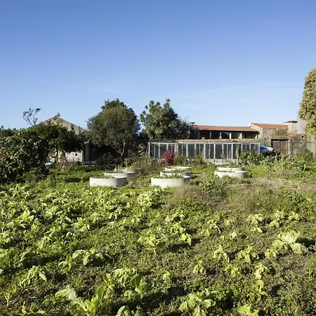 乡村民宿 Alma Peregrina - The Pilgrims Retreat *