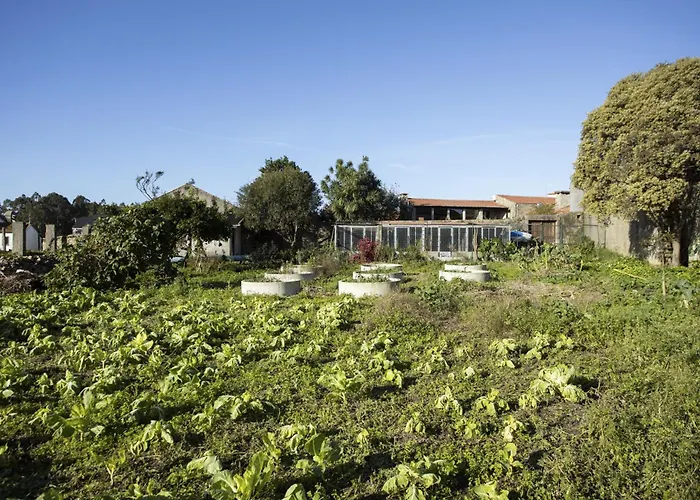 Casa di campagna Alma Peregrina - The Pilgrims Retreat *